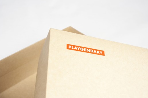 Самосборная коробка из крафта Playgendary