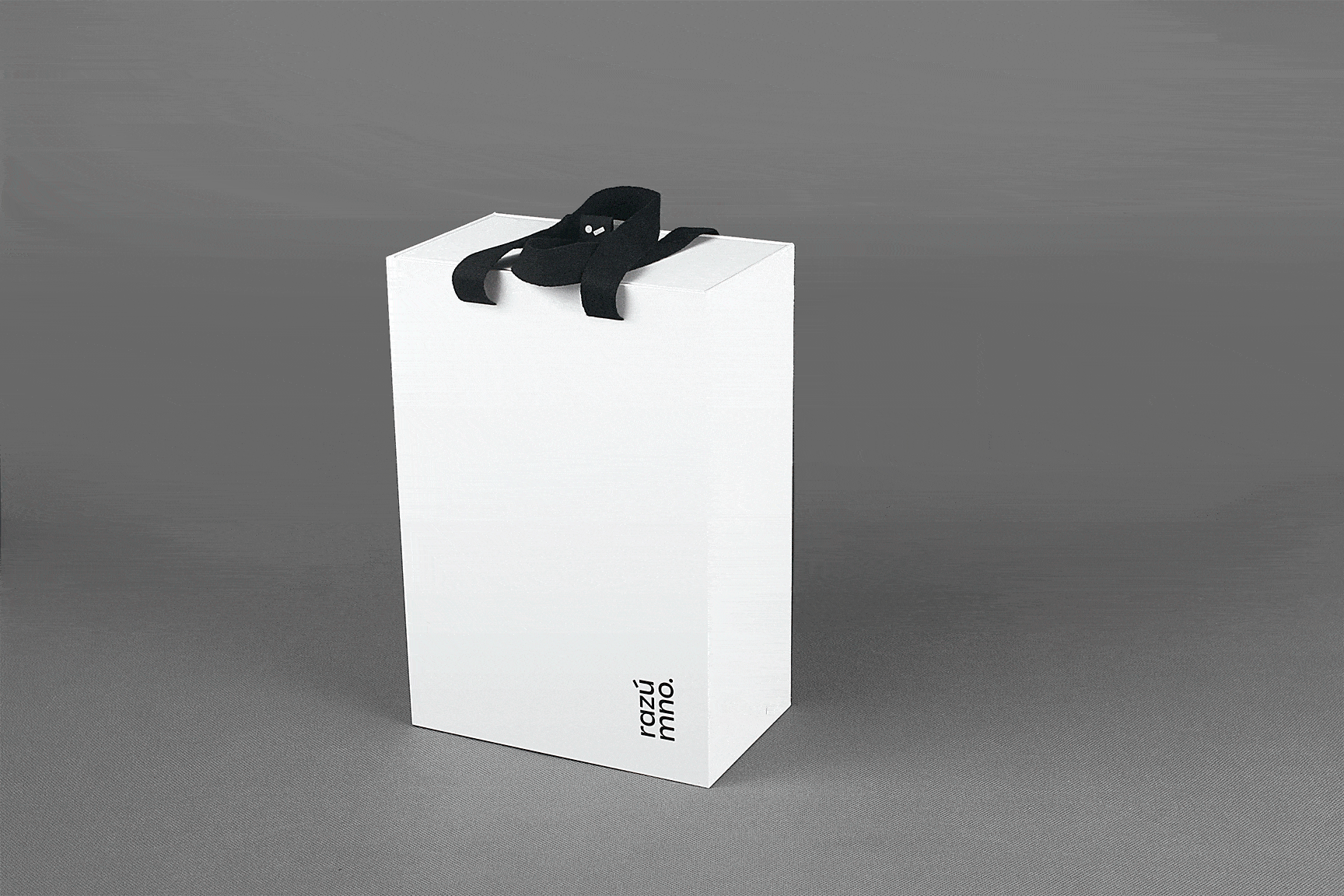 Подарочная коробка — пакет с ручками из картона, общий вид